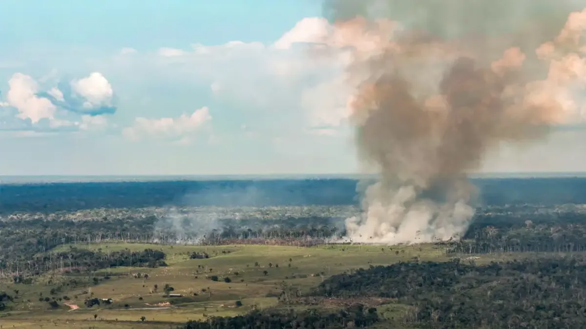 Santarém tem ar classificado como muito insalubre após avanço de incêndios no Pará